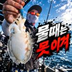 [배쯔호] 9월20일 갑오징어 낚시 사진