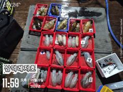 [팁런] 원도권,k,k,k,,무시급들(월,화,출항) 사진