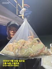 [고흥,녹동] 문어낚시 사진