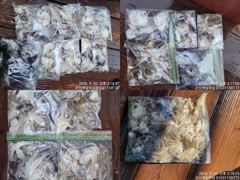 ⭐⭐어제바다는 심심할 틈이 없었습니다(군산제일호)⭐⭐ 사진