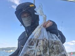 삼천포 쭈꾸미 조황 !! 장원166수~~ 사진