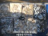 9/21 홍원항 타이탄호 쭈꾸미,갑오징어 사진