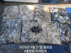 쭈갑조황 글만 보기 사진
