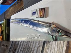 [22일입항] 내만갈치 3지이상까지!! 온바다에 바글바글!! 미쳐요~ [추석연휴 쭉 예약가능] 010-7660-2435 사진