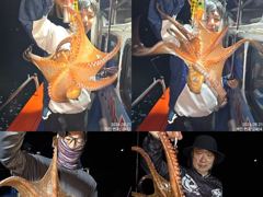 [진해] 21일 주워담듯 올라와 대~박치고 잡고온 야간~돌문어 잡으러 출… 사진