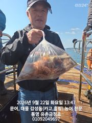 통영 금정호 오전문어선상 마릿수 좋아지기 시작합니다 내일 오전 자리여유있습니다 사진