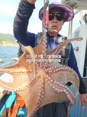 22일,군산 문어,문어,문어~싸이즈 좋은 문어 오늘도 굿굿 망탱이조황~군산낚시프라자 챔피언호 사진