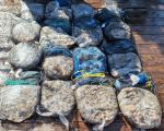 2026.9.22.(화) * 영흥도 나이스호 )* 쭈꾸미& 갑오징어 출조 조황 * 수고 많으셨습니다.* 사진