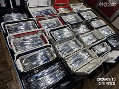 [준내만갈치]씨알급으로만쿨까지~!! 금요일부터 예약가능! 금/일/월/화 자리여유많아요~ 사진