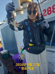 완도덕호 9.22 쭈꾸미 사진
