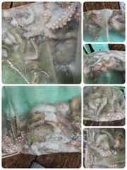 [포항] 포항문어낚시 목금토일 모집중입니다 사진