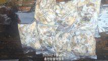 쭈갑조황 글만 보기 사진