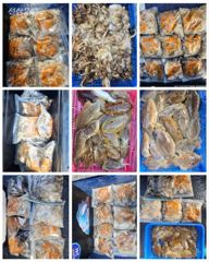 9월22일 비엔나호 쭈갑조황 사진