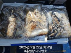 [쭈갑조황] [홍원항타이탄호] 9월22일(화) 계속 잘나오는 쭈꾸미와 갑오징어 조황 사진