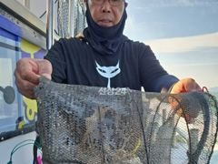 9월22일 군산킹마린호 쭈꾸미굿조황 사진