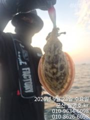 23일, 군산쭈꾸미,갑이랑 함께~날마다 잘 나오고 있어요~오전반… 사진