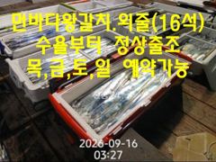 [진해] 16석.먼바다왕갈치(외줄) 추석당일 정상출조=목금토일 예약가능 사진