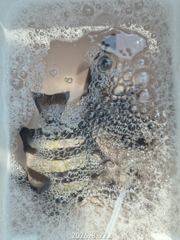 +1 17시간전 [거제] 《가을 감성돔 흘림》4짜외 마리수 좋습니다 사진