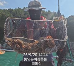(문어)가을 씨알 마릿수 OK 망탱이 조황 달성~락피싱(24일 예약) 사진