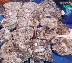 23일 군산k1 주꾸미갑돌이 탕!탕!탕! 사진