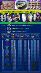 ♥붉바리들 이정도는 잡아봐야지요 대박 붉바리조황입니다 [2026년09월23일] ◎ 해마루호가 뜨는이유? 조황때문이죠 ◎ 핵심포인트: 바로진입.. 바로히트.. ◎ 차원이 다른 조황... 사진