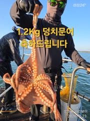 [사천] 삼천포 마린보이 9. 23. 덩치 주간문어 대박조황으로 다녀왔습… 사진