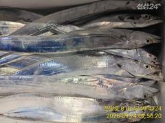 먼바다 갈치텐빈 손맛 굿! 오늘 예약가능! 사진