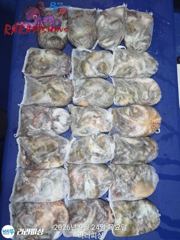 23일(야간문어) 중치급들퍽퍽마릿수느나느나 사진