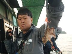 왕쭈꾸미 피딩피딩 사진