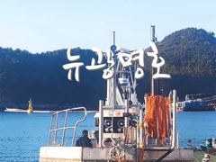 [VIP 광명호] 초~대 밤새 퍼담고 오늘도 쿨러가득 채우려 갑니다. -- 오늘 - 2자리 여유 -- 사진