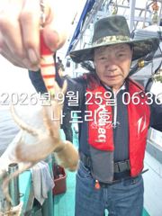 25일, 즐건 한가위 되세요~군산주꾸미~갑이랑 나오네요~실시간~군산낚시프라자 나드리호 사진