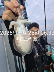 25일, 즐건 한가위 되세요~군산주꾸미~갑이랑 나오네요~실시간~군산낚시프라자 나드리호 사진