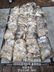 25일 군산 대호피싱호 15분의 대박 조항 입니다 사진