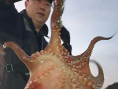 돌문어 1400g1380g외 중치급 많이잡고.. ( 일요일 예약가능 ) 사진