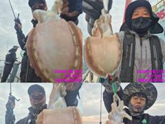 <자연호> 쭈꾸미 오전 마무리 굿~조황(25일)-즐낚하고 입항했습니다 사진
