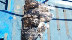 (삼천포)두족류 풍년 주꾸미 80여수 퍼 담고~로마피싱(27일예약) 사진