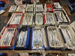 "준내만갈치" 3지4지!! 화끈한 손맛 보며 쿨러 묵직하게 담았습니다!! [일요일 예약가능] 010-7660-2435 사진