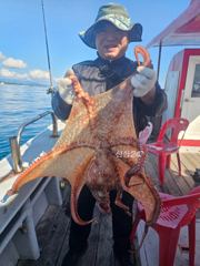 강원 고성 22인승청룡호 대왕문어 조황 9월말 시즌종료 사진