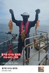 임원항 탐라호 황열기 조황 입니다 사진