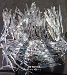 26일,입항<내만갈치>BIG사이즈 손맛끝장!일,월,화~예약가능 사진