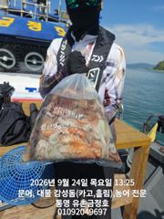 [통영] 통영 금정호 내일 오전문어 자리여유있습니다 사진