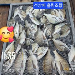 병산 감성돔37외 마리수 농어 선상배및 선외기 흘림조황~~ 사진