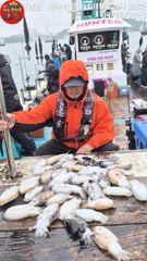 26일 여수헌터호 비바람속 갑진 갑오징어 조황올립니다 ~^^ 사진