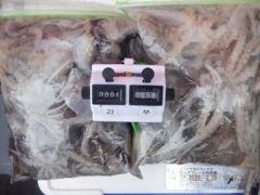 26일 최저가왕쭈 악천우속대박 132수가왕쭈개인장원 성신1호도종일로,,,,,,, 사진