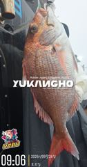 [부산] [부산 유강피싱] 유강호 부산권 부시리 파핑 지깅 조황입니다. 사진