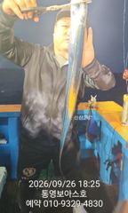 던졌는데 잘 나옵니다 사진