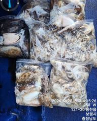 추석 주말 사리물때 손맛보러 출발!!! 사진