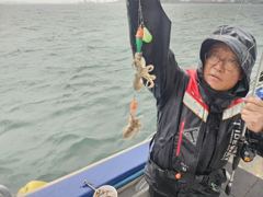 목화피싱 9/26일 쭈꾸미낚시 장대빗속에 왕쭈꾸미 갑오징어 조황 고150~50이요. 사진