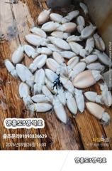 9월26일(쭈&갑이출조) 사진