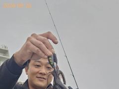 [부산] 무늬 사이즈 마릿수 굿굿!! 사진